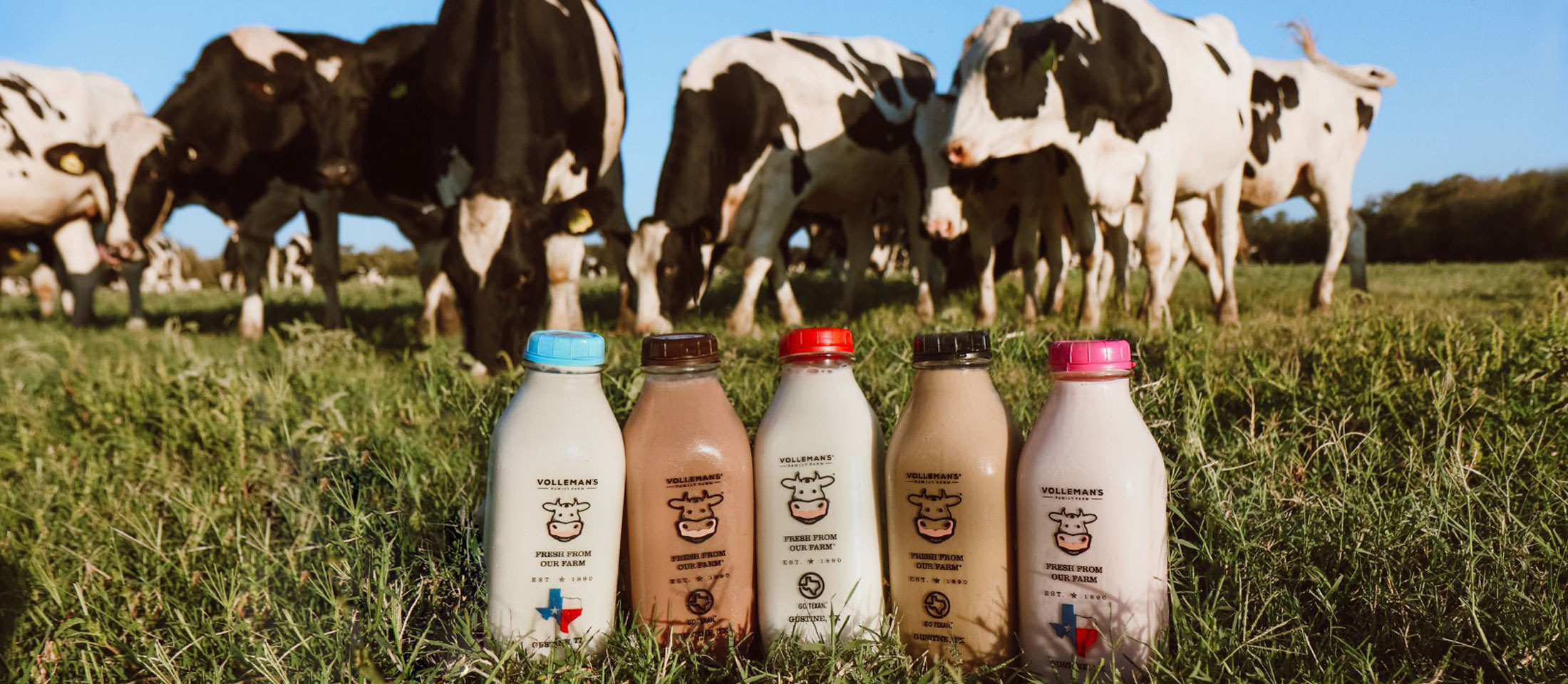 Productos Damily Farm de Volleman en botellas de vidrio